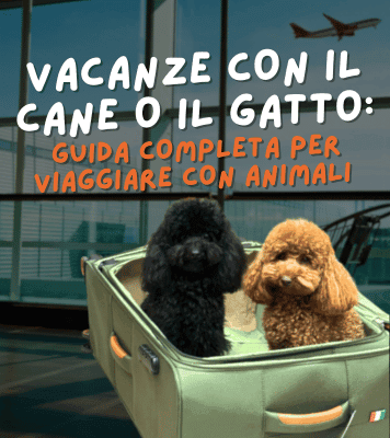 Vacanze con il cane o il gatto: guida completa per viaggiare con animali